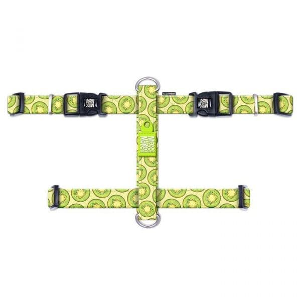 Max & Molly Peitoral Kiwi M