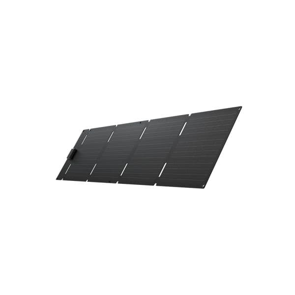 EcoFlow Painel Solar Portátil 60W Type C