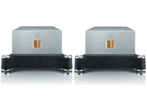 TAD Amplificador Mono M600 (Par)