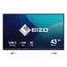 Monitor Eizo 42.5" FlexScan EV4340X-BK 4K UHD 60Hz IPS 2xHDMI+DP+USB-C Black