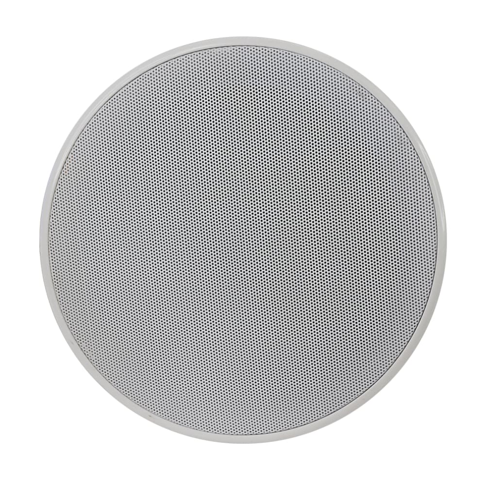 Coluna Tecto 100V 6,5″ 30W