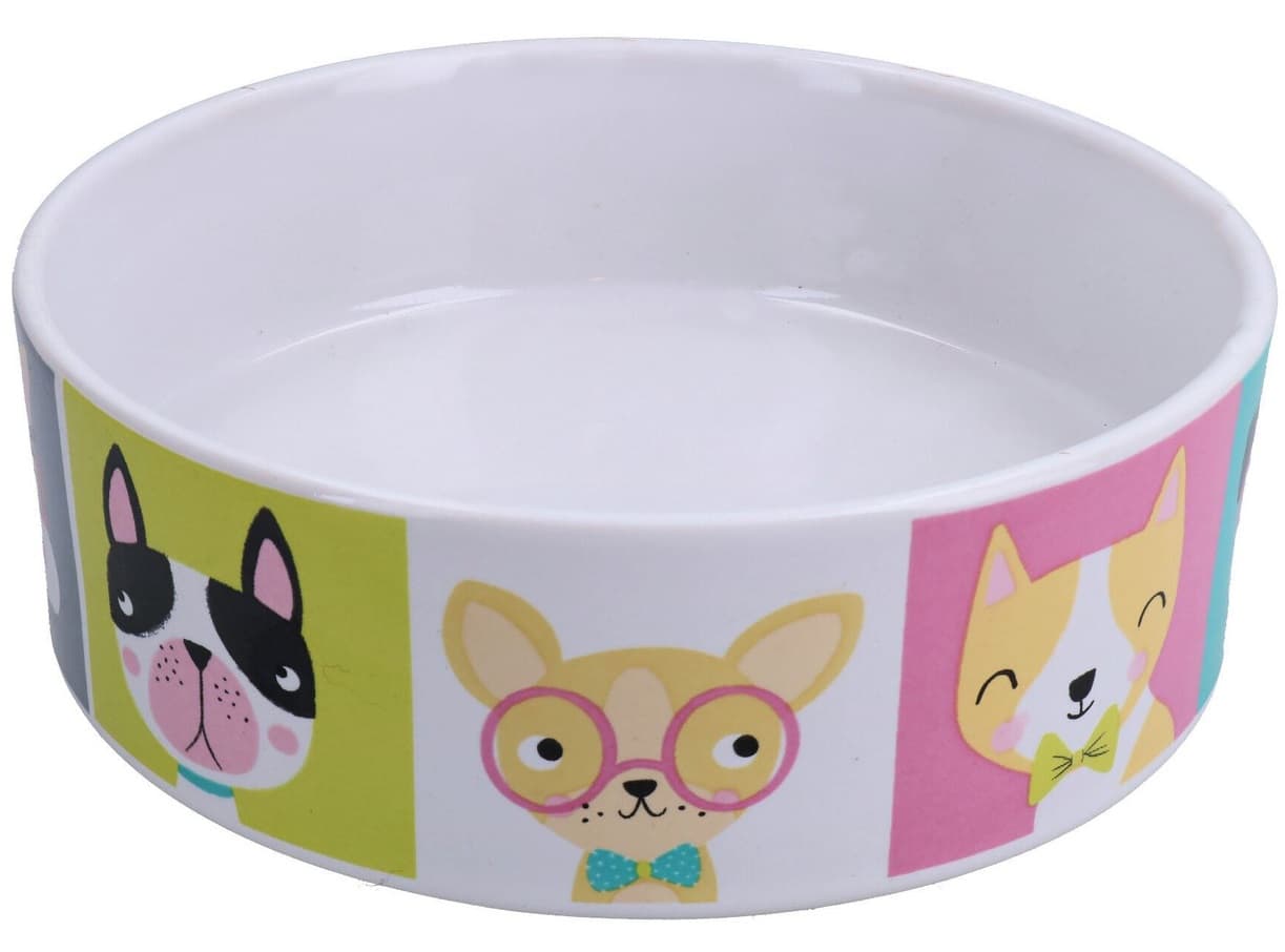 Taça Gato / Cão