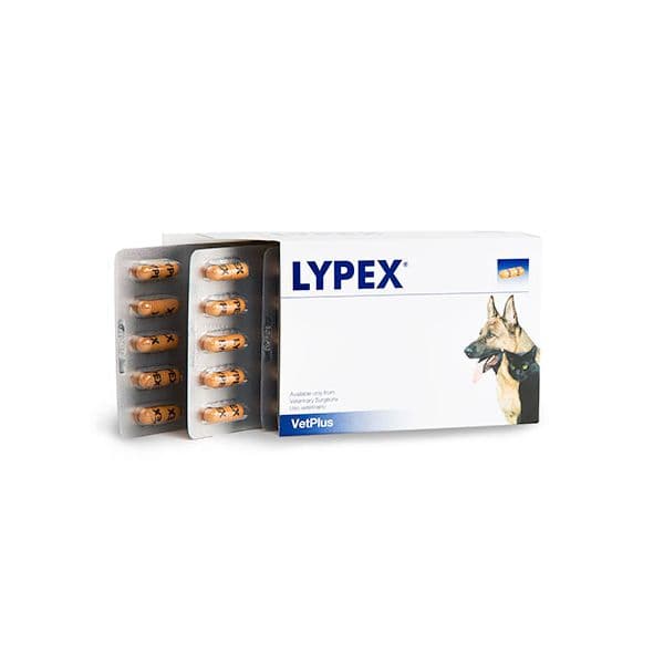 Samylin Blister Lypex Cão & Gato 60 Comprimidos