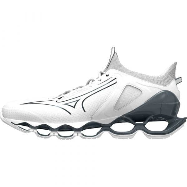 Mizuno Sapatilhas de Running Wave Prophecy 14 White / Silver 44