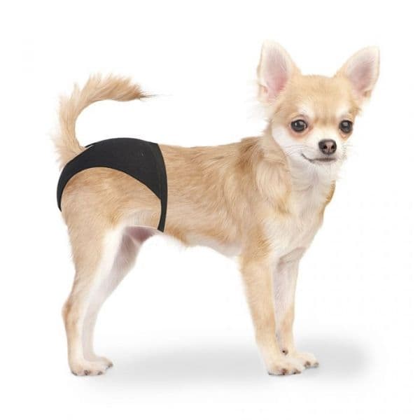 Duvo+ Cuecas para Cães XS