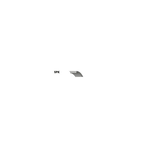 GATES Correia trapezoidal estriada - 5414465283680