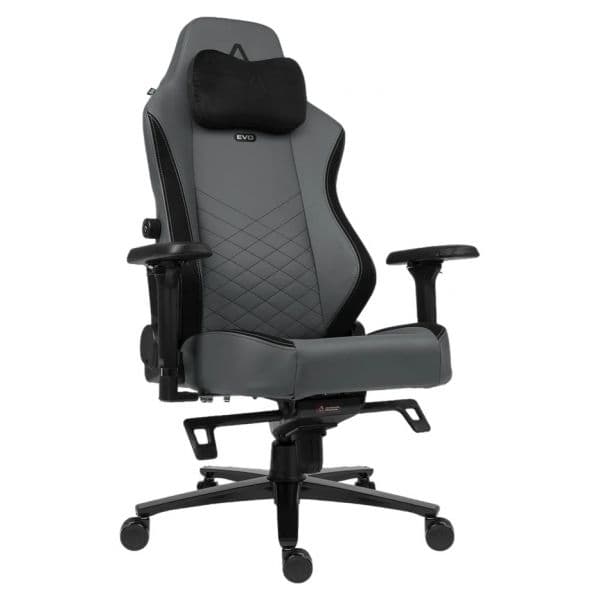 Cadeira Gaming Alpha Gamer Alegra Evo Titanium Grey