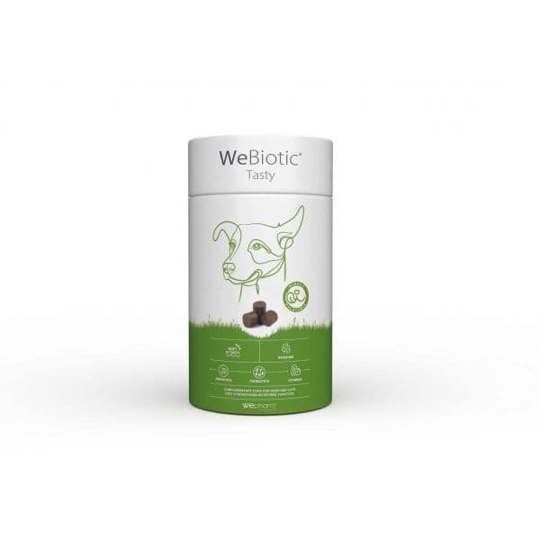Wepharm WeBiotic Tasty 30 unidades