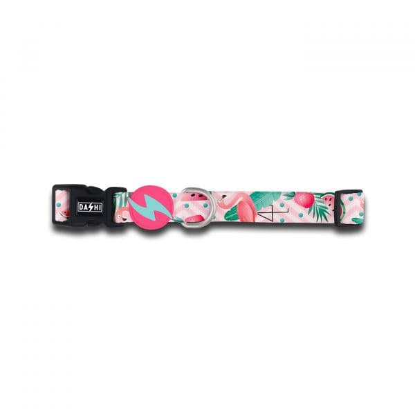 Dashi Coleira Flamingo S