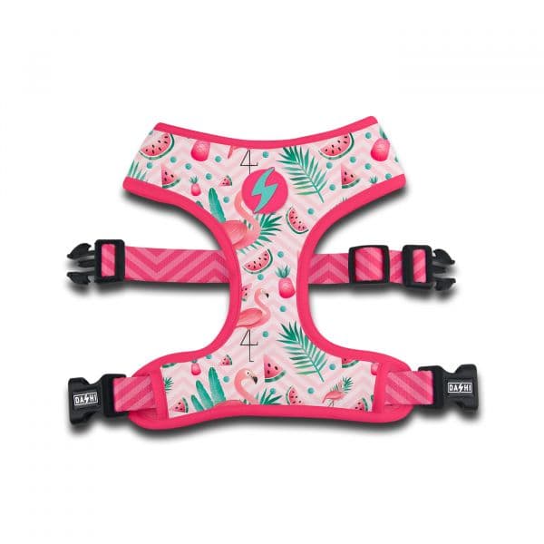 Dashi Peitoral Neo Mesh Flamingo XL