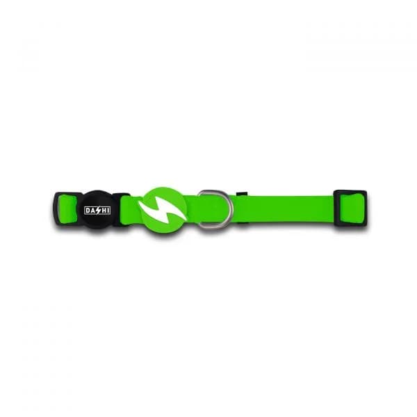 Dashi Coleira Verde L