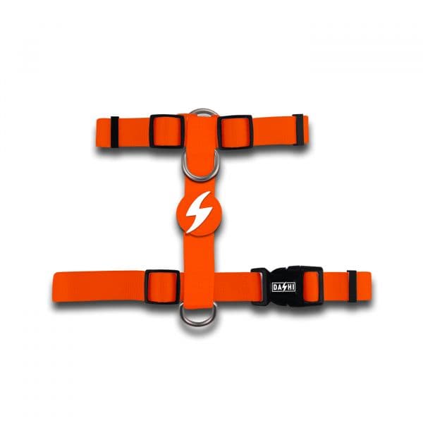 Dashi Peitoral Back-Harness Laranja L