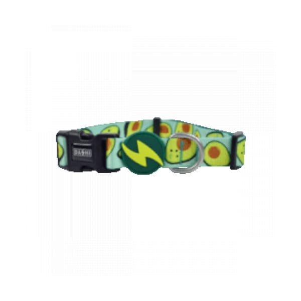 Dashi Coleira Avocado L