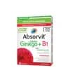 Farmodietica Absorvit Biloba Ginkgo + B1 60 Comprimidos