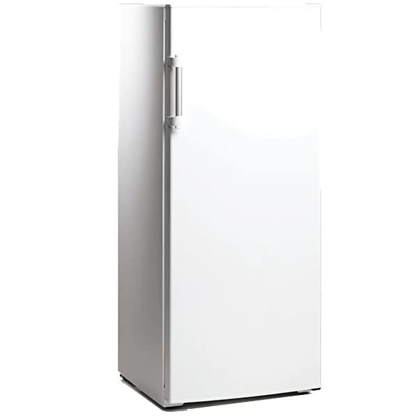 Arca Vertical Starlux SXCV300 216L Classe E