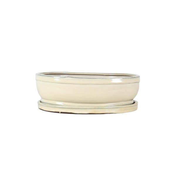 Luso Bonsai Vaso de Bonsai Oval + Prato 30,5*24,5*10 cm Creme - Yixing - 85443