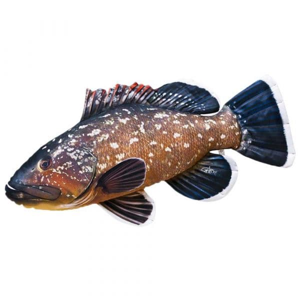 Gaby The Dusky Grouper Giant Brown / Dark Navy / White - GP-175457