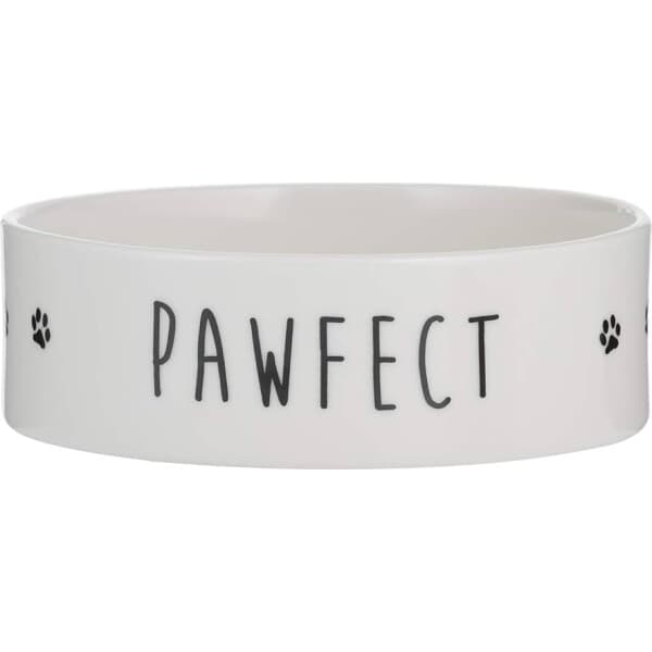 Taça Cão Pawfect Dog 15Cm