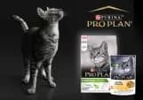 Ração Húmida Purina Pro Plan Nutri Savour Junior Peru 85g