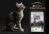 Purina Pro Plan Pro Plan Gato Esterilizado Senior 7+