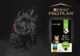 Purina Pro Plan Puppy Small & Mini Healthy Start Chicken 7Kg