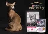 Purina Pro Plan Pro Plan Gato Digestão Sensível Adulto