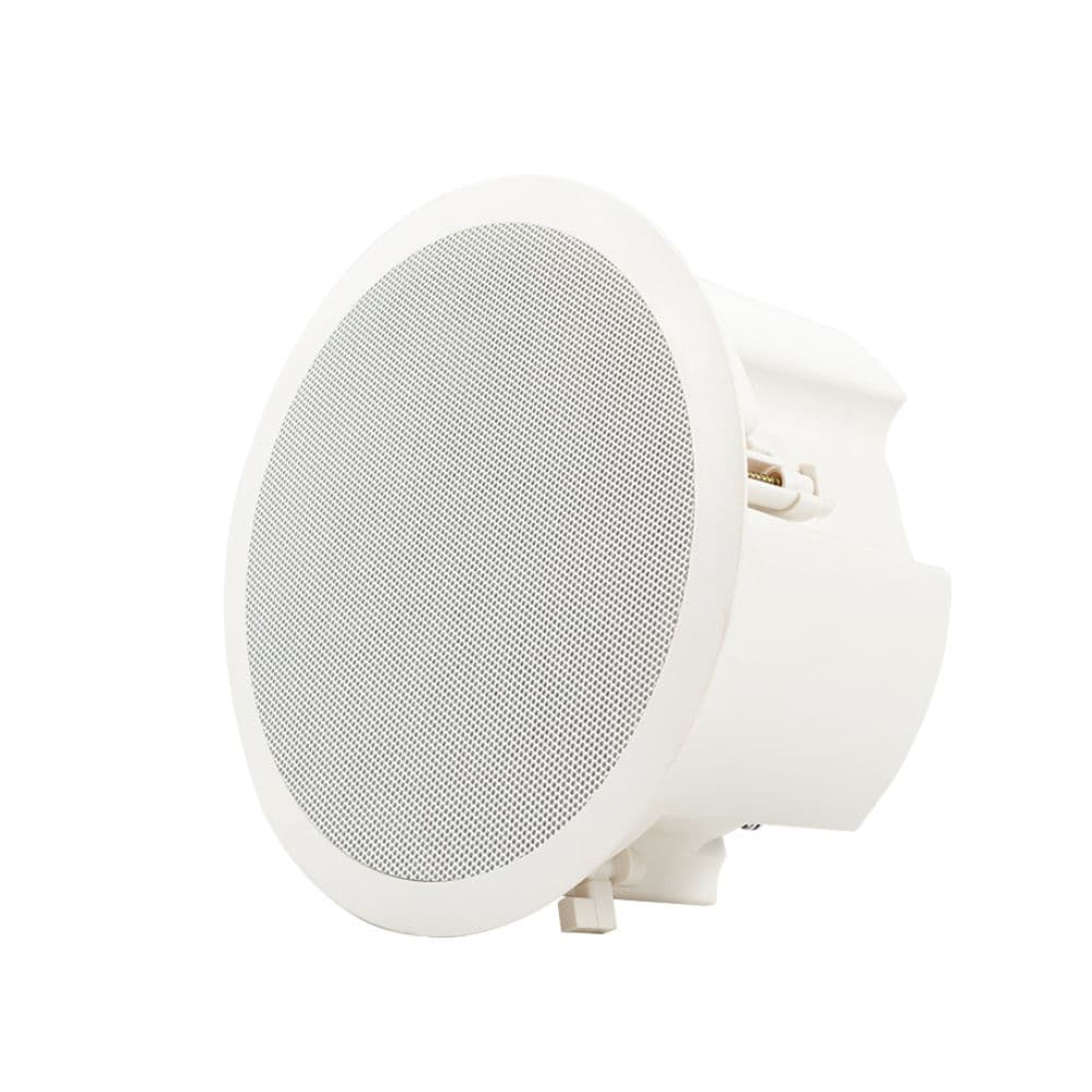 Coluna Tecto 100V 6,5″ 40W