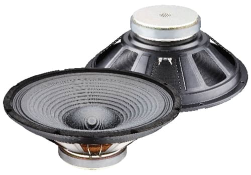 Woofer 15″ 300W 8ohm (38cm)