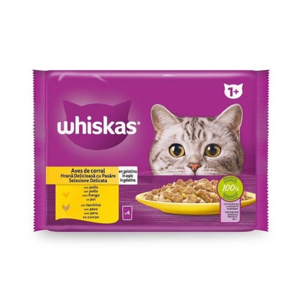 Ração Húmida WHISKAS Gato Aves 4x85g
