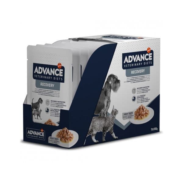 Ração Húmida Advance VET Recovery 11 x 100g