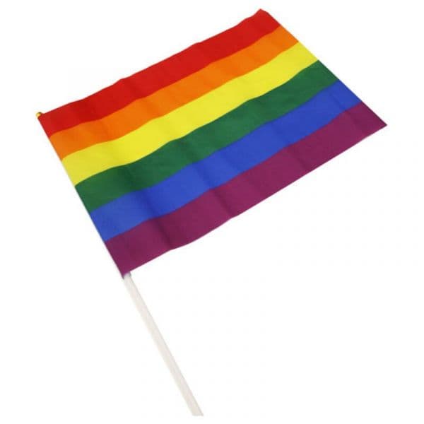 Toy Joy Banderin Mediano Bandera LGBT