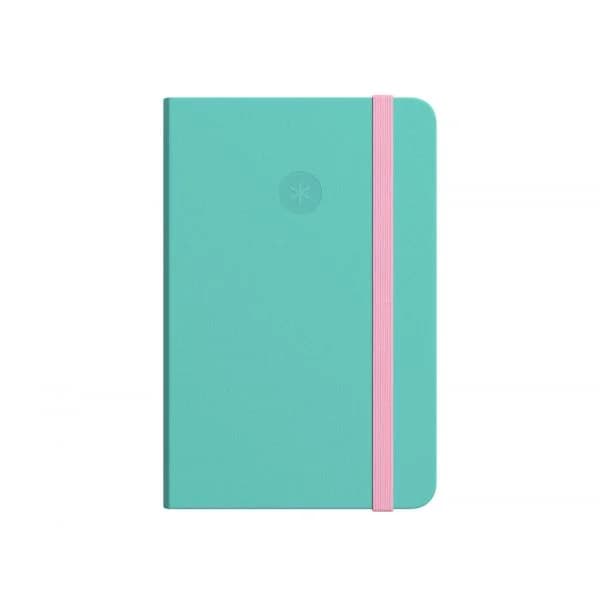 Antartik Caderno Pautado A5 Lombada Colada 80 Folhas Rosa e Turquesa
