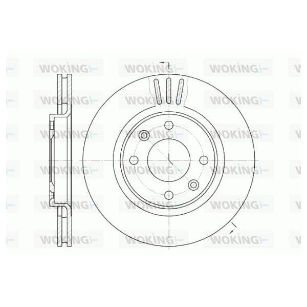 WOKING Disco de Travão - D6603.10