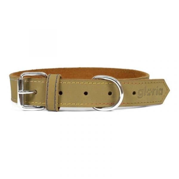Gloria Pets Coleira Oasis Verde (45 x 1,8 cm)