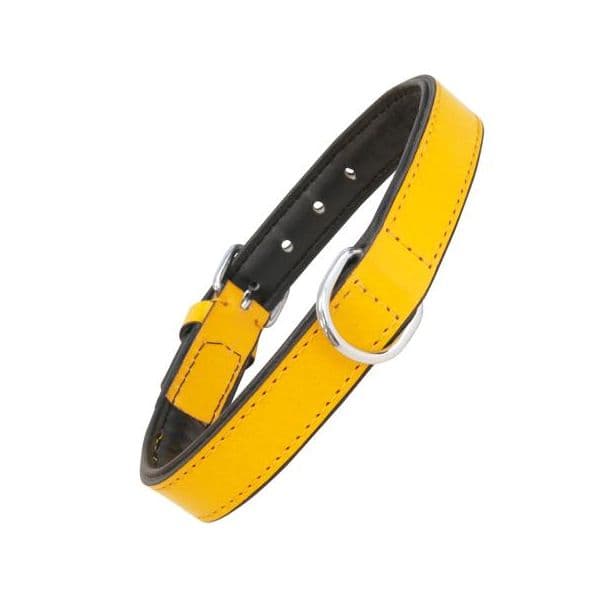 Gloria Pets Coleira Acolchoado Amarelo (50 x 2,5 cm)