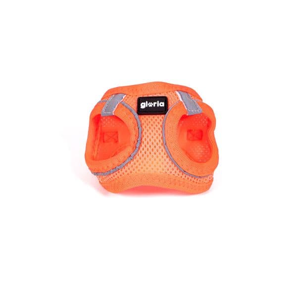 Gloria Arnês para Cães Trek Star 24-26 cm 28-28,6 cm Laranja XXS