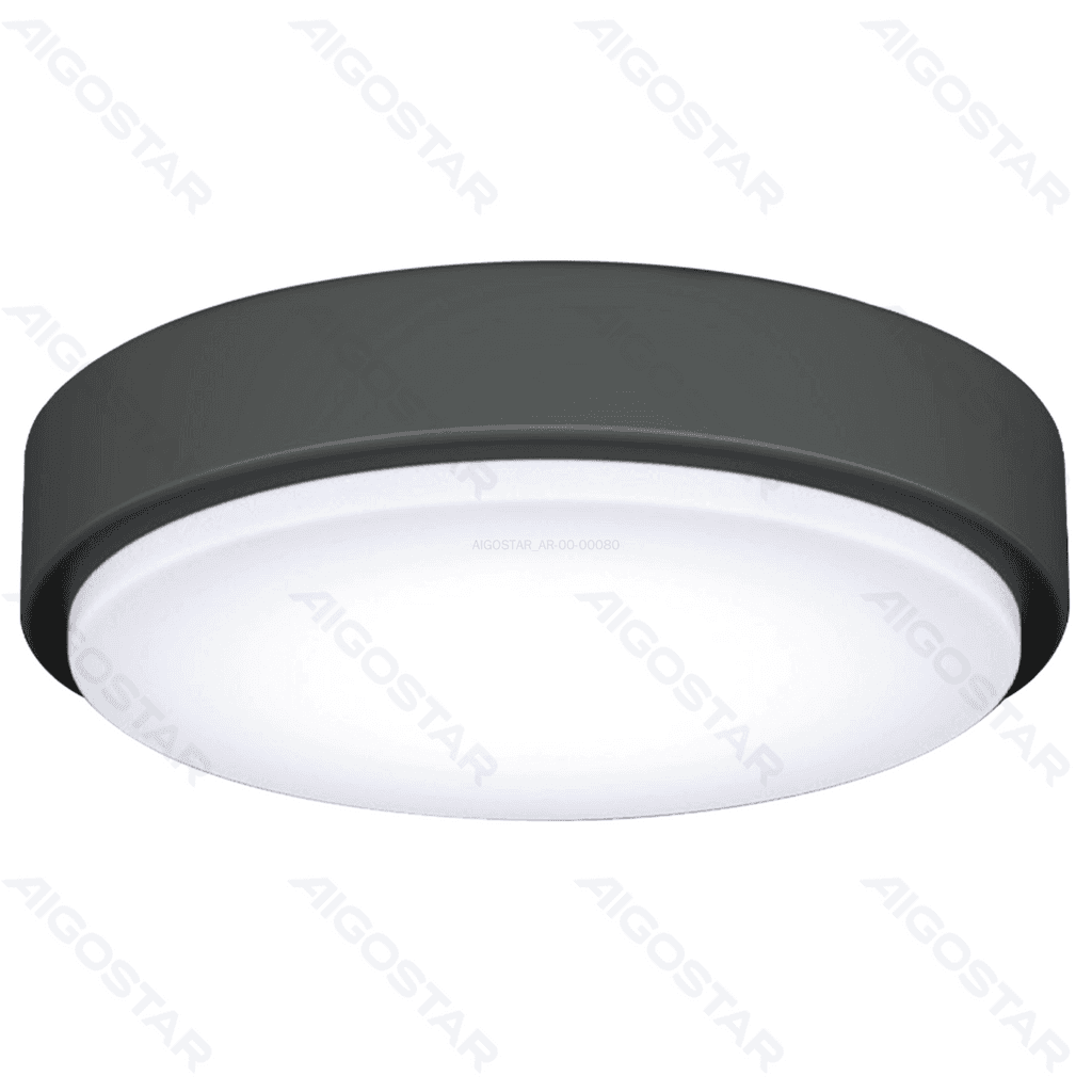 LUZ DE TETO LED 12W 6500K