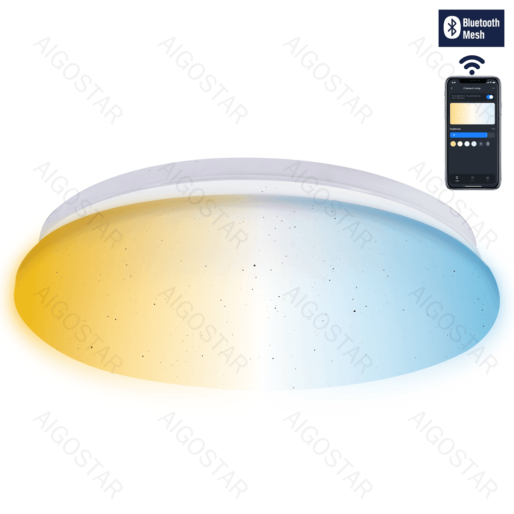 LUZ DE TETO INTELIGENTE DE CONETIVIDADE BLUETOOTH 12W CCT