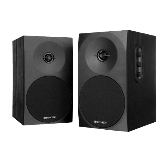 COLUNAS WOXTER DYNAMIC LINE DL-410 150W 2.0 PRETAS