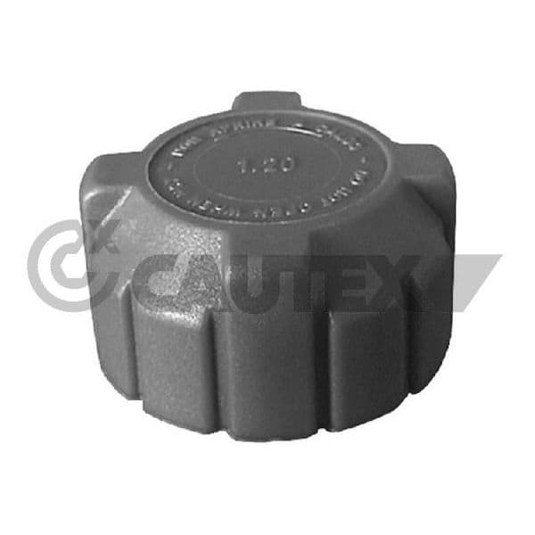 Cautex Tampa de Fecho, Recipiente de Líquido de - 954070