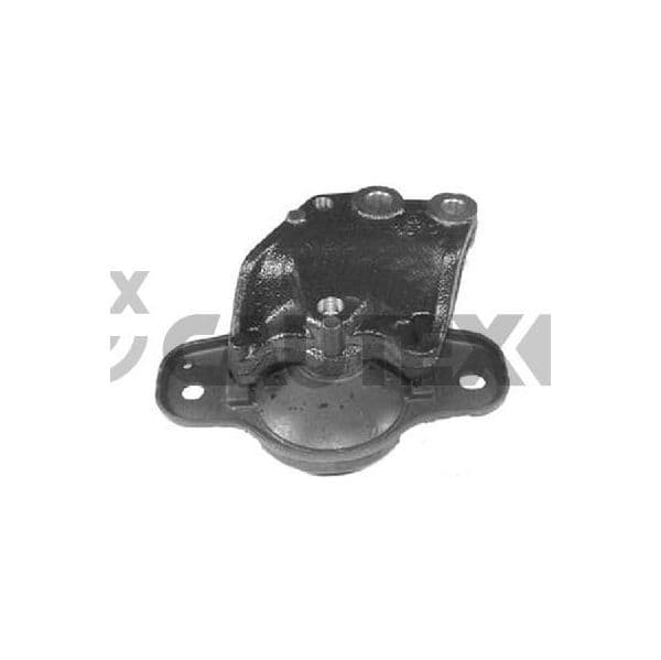 Cautex Suporte, Motor - 756053