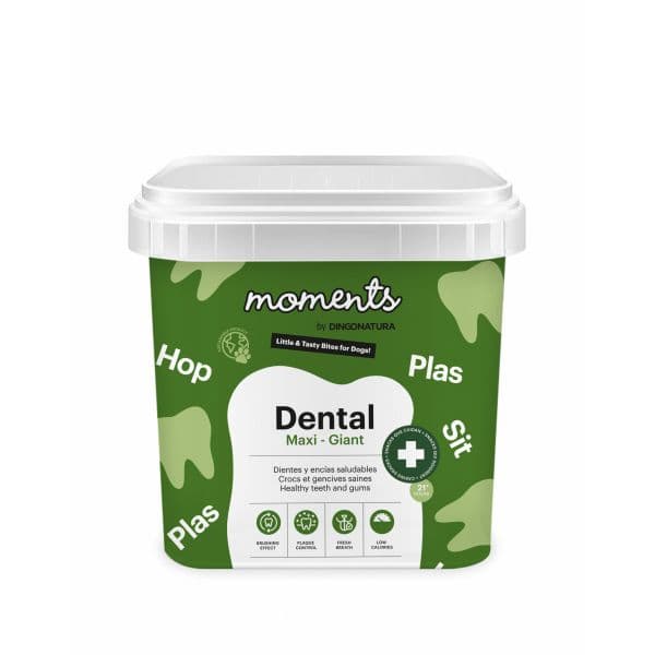 Moments Sticks Dentais Grande-Gigante 500g