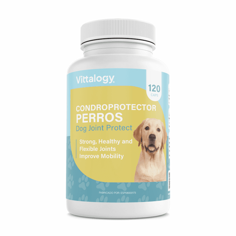 Vittalogy Condroprotector Para Perros 120 Cap