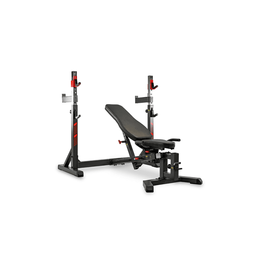 BH Fitness Olympic Rack - G510