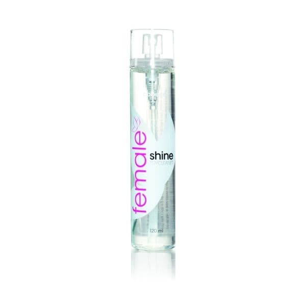 Cobeco Spray Limpeza Female Shine Toy Cleaner 120ml