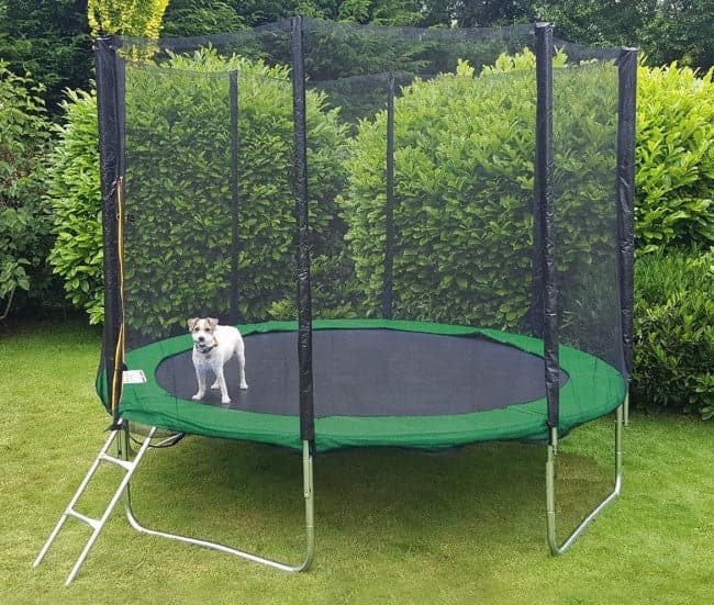 Trampolim Ø244 cm com rede de segurança até 110 kg verde