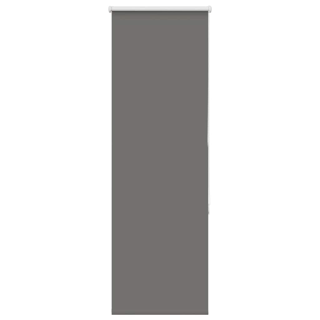vidaXL Persiana de enrolar 55x150 cm largura tecido 50,7 cm poliéster
