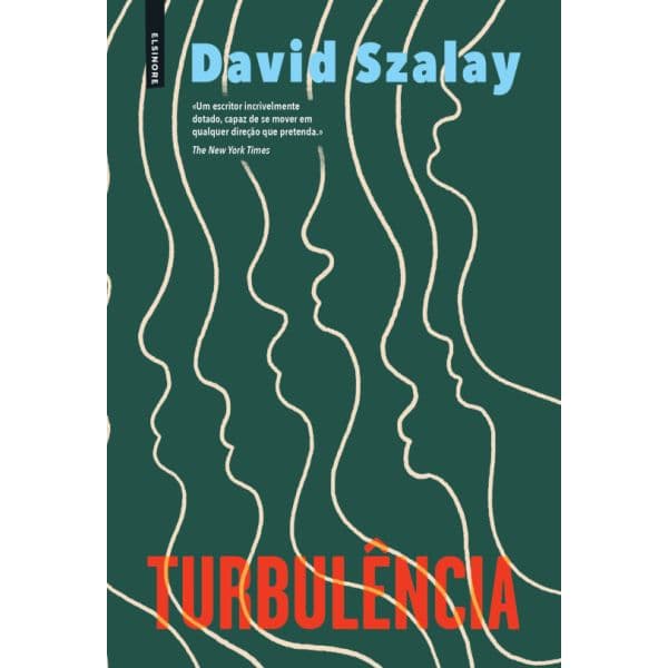 Turbulência